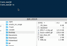 网云穿 内网穿透Linux版本使用教程-Blog.XiaoMing.Xyz