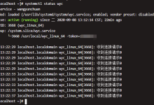 网云穿 Linux下将网云穿内网穿透设置为系统服务-Blog.XiaoMing.Xyz