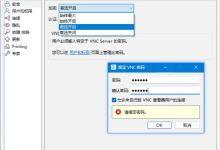 RealVNC 安全性--加密模式-Blog.XiaoMing.Xyz